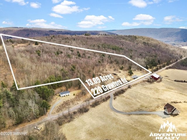 aerial view with a mountain view