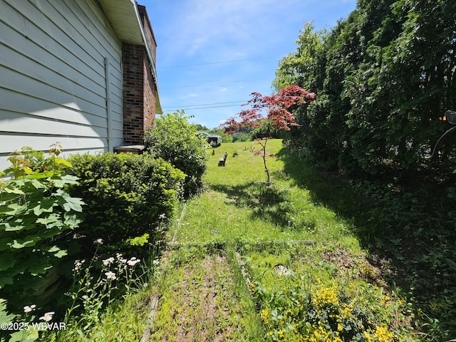 399 Sholder Rd, Williamsport, PA 17701 - view of yard