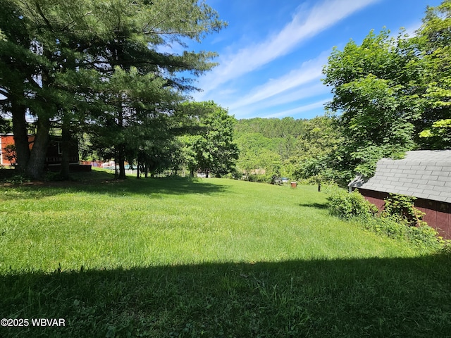 399 Sholder Rd, Williamsport, PA 17701 - view of green lawn