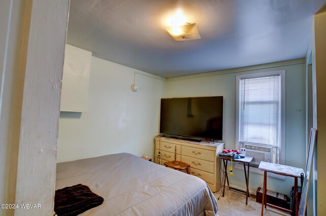 1408 Memorial Ave, Williamsport, PA 17701 - photo 38