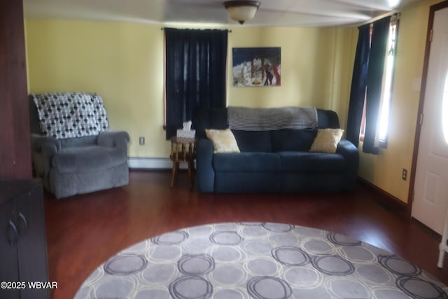 817 Grove St, Williamsport, PA 17701 - photo 6