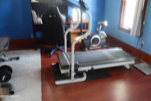 817 Grove St, Williamsport, PA 17701 - photo 26