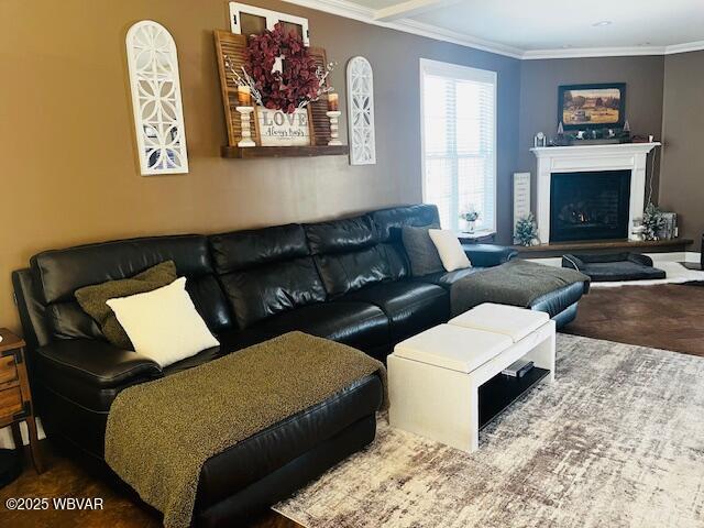 living room featuring crown molding