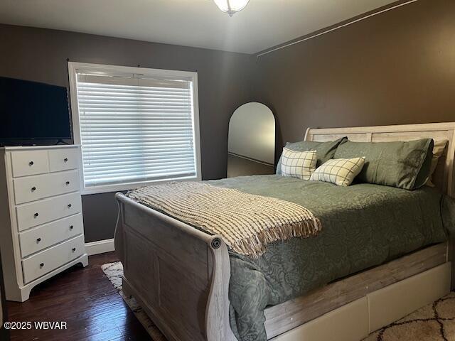 bedroom featuring multiple windows and dark hardwood / wood-style floors