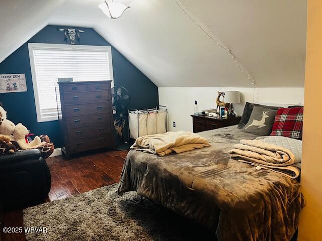 bedroom featuring dark hardwood / wood-style flooring and vaulted ceiling