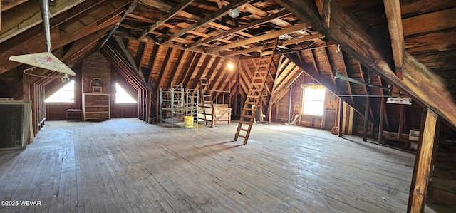unfinished attic featuring a healthy amount of sunlight