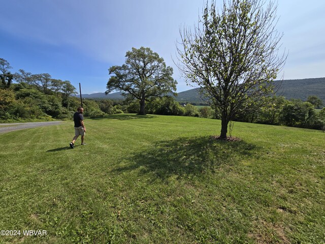 view of yard with a mountain view