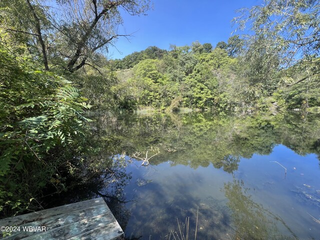 view of water feature