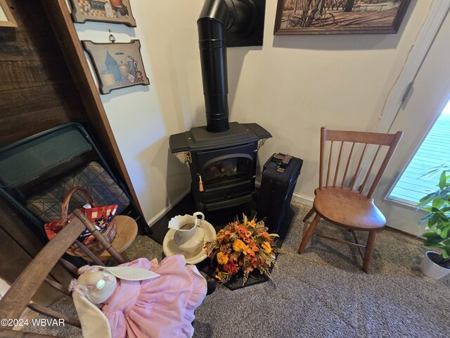 details featuring carpet flooring and a wood stove