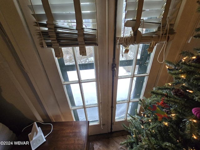 entryway with a wealth of natural light and wood-type flooring