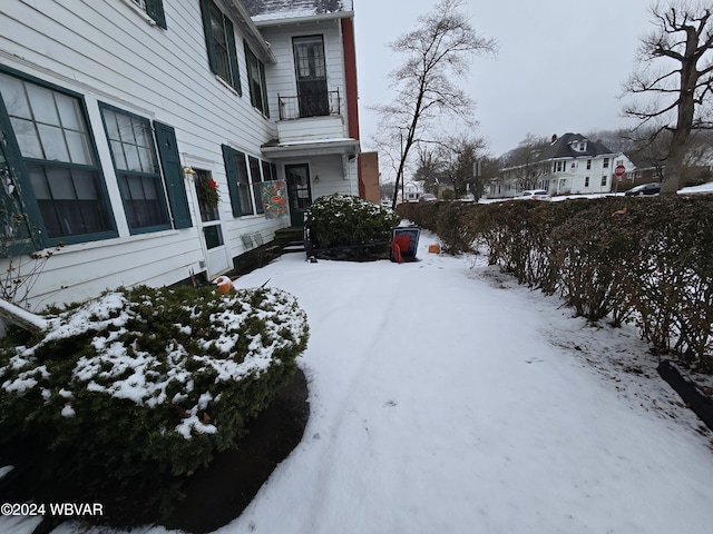 view of yard covered in snow