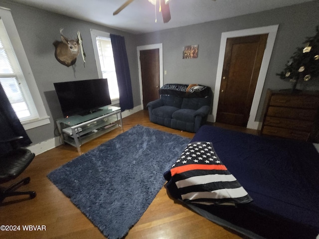 living room featuring a wealth of natural light and hardwood / wood-style flooring