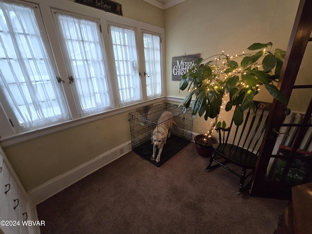 living area featuring carpet, ornamental molding, and a healthy amount of sunlight