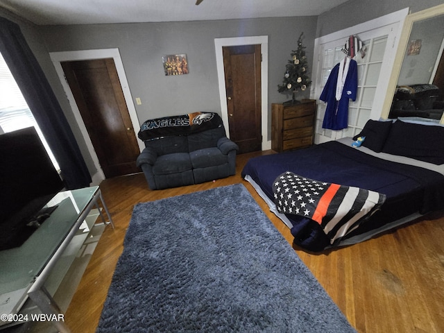 bedroom featuring wood-type flooring and a closet