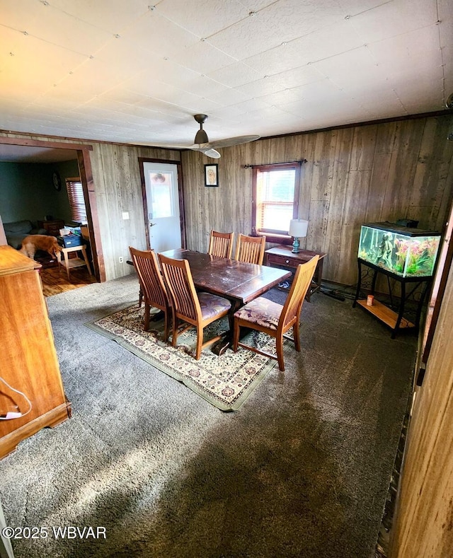 carpeted dining area with wooden walls