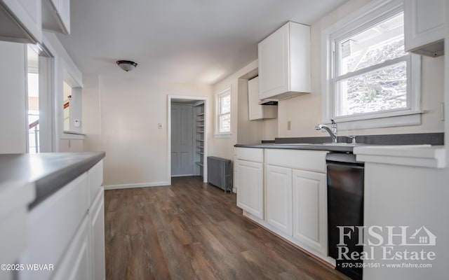 kitchen with white cabinetry, radiator, a wealth of natural light, and dark hardwood / wood-style floors