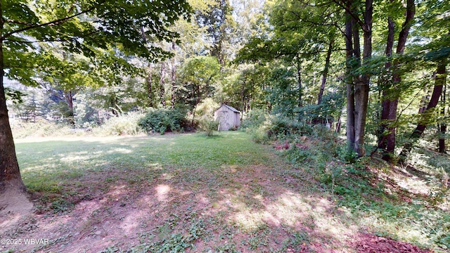 474 N Center St, Canton, PA 17724 - photo 51