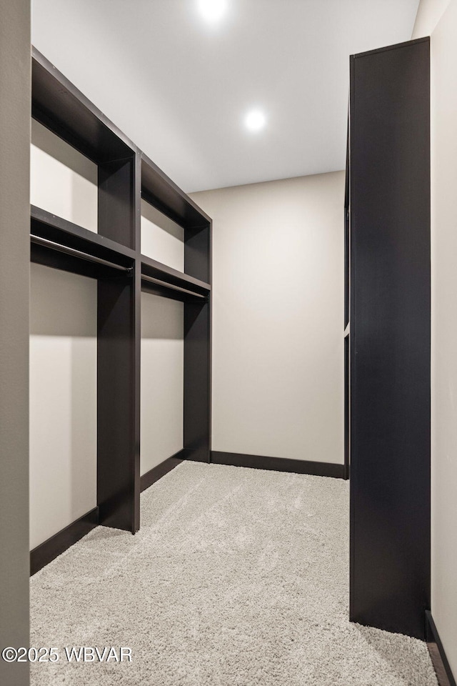 spacious closet featuring carpet flooring