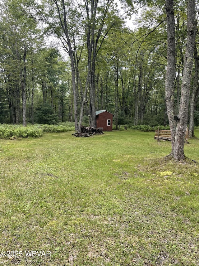 26 Big Hill Rd, Beech Creek, PA 16822 - photo 31