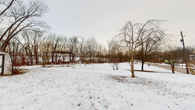 view of yard covered in snow