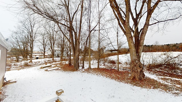 view of yard layered in snow