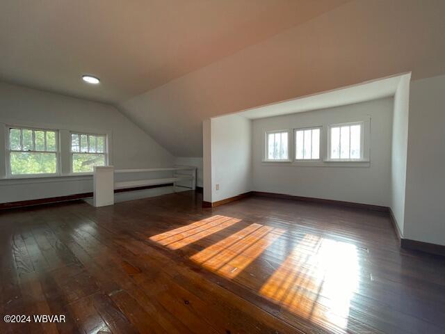 bonus room featuring vaulted ceiling, a healthy amount of sunlight, and dark hardwood / wood-style floors