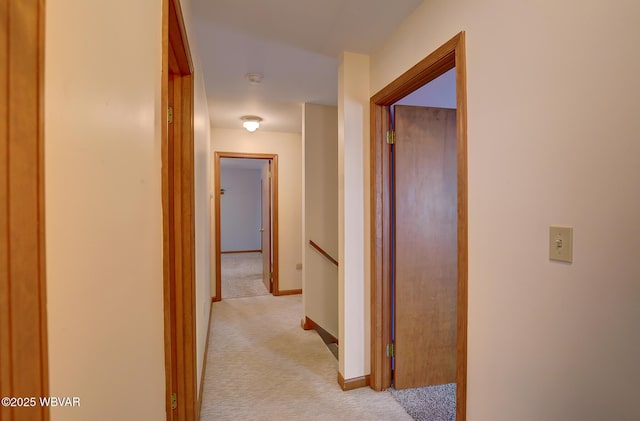 43 Hillcrest Ln, Williamsport, PA 17701 - hall featuring light carpet and an upstairs landing