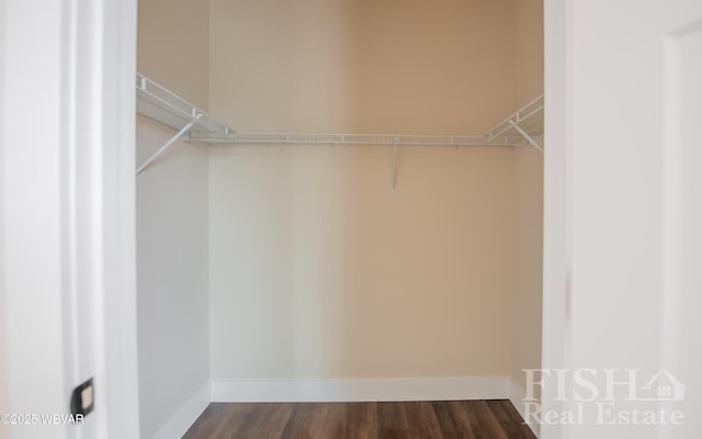 spacious closet with dark wood-style floors