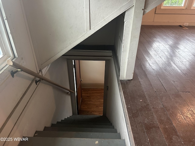 2401 Linn St, Williamsport, PA 17701 - stairway featuring hardwood / wood-style flooring