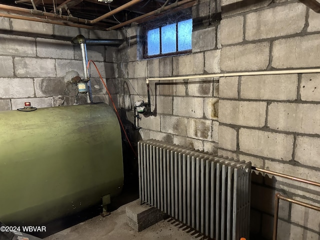 basement with radiator