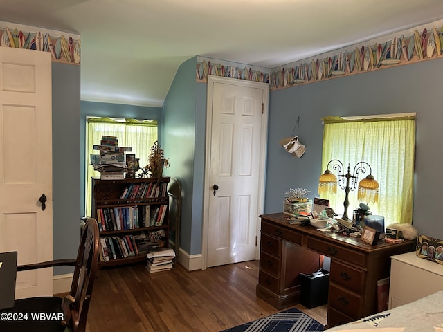 bedroom featuring multiple windows and dark hardwood / wood-style flooring