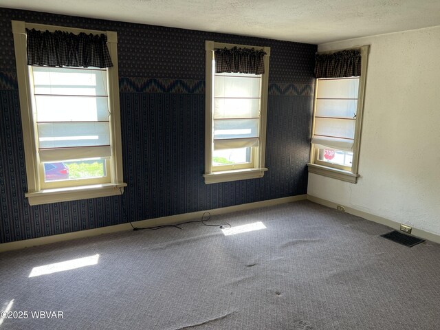 239 Washington Blvd, Williamsport, PA 17701 - photo 19