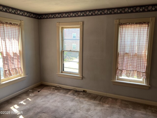 239 Washington Blvd, Williamsport, PA 17701 - photo 15