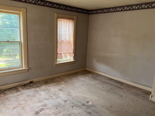 239 Washington Blvd, Williamsport, PA 17701 - photo 16