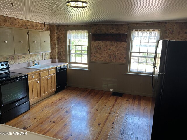 239 Washington Blvd, Williamsport, PA 17701 - photo 8