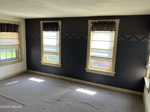 239 Washington Blvd, Williamsport, PA 17701 - photo 14