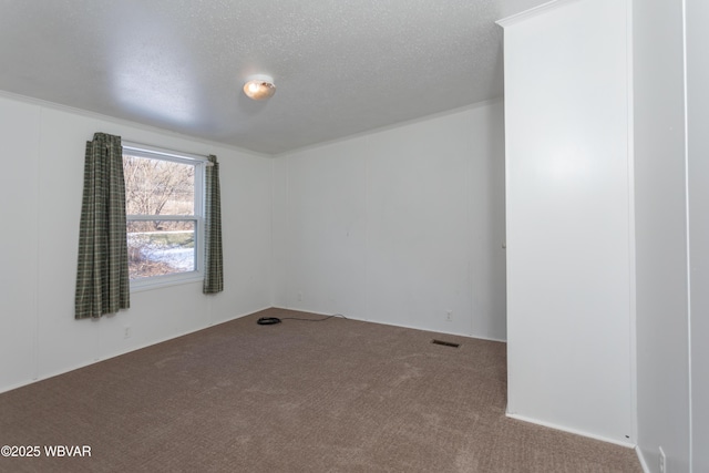 spare room featuring carpet floors and a textured ceiling