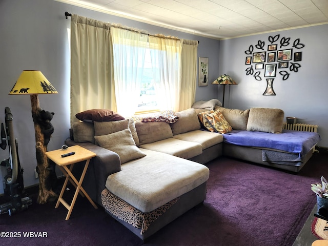 214 Walton Rd, Lock Haven, PA 17745 - photo 9