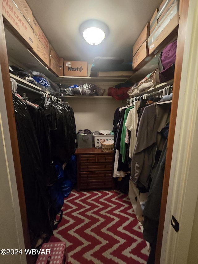 walk in closet featuring dark carpet