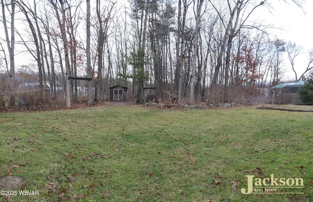 view of yard featuring an outdoor structure