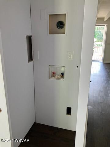 clothes washing area featuring washer hookup and dark wood finished floors