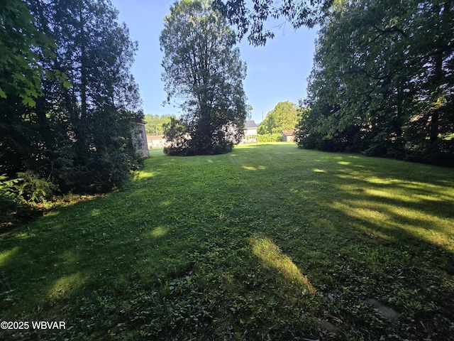 3158 Rauchtown Rd, Jersey Shore, PA 17740 - photo 14