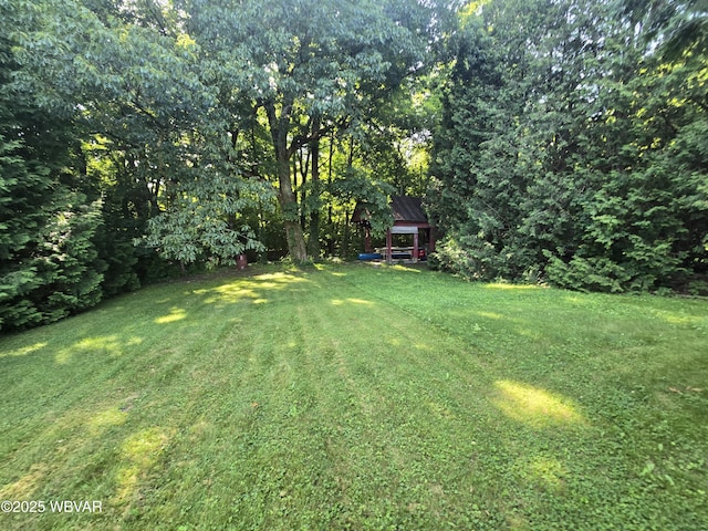 3158 Rauchtown Rd, Jersey Shore, PA 17740 - photo 11