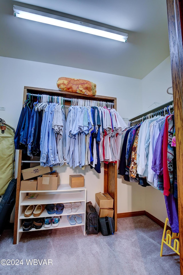 walk in closet with carpet