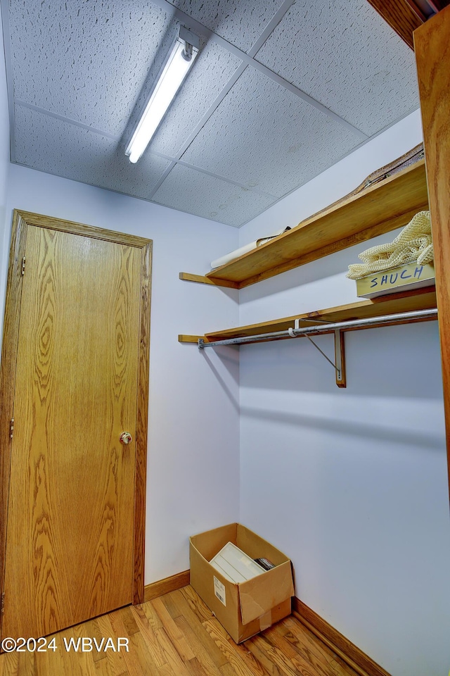 spacious closet featuring light hardwood / wood-style floors