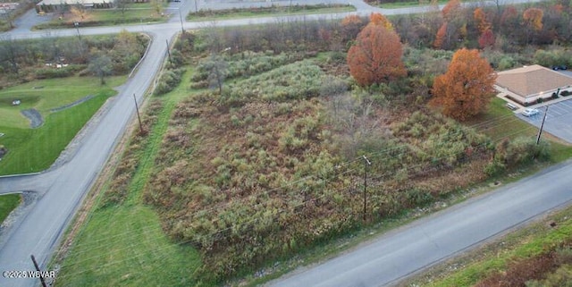 PARCEL108.16 Choate Cir, Montoursville, PA 17754 - photo 3