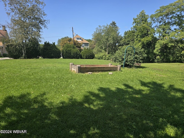 117 Kendall Ave, Jersey Shore, PA 17740 - view of green lawn