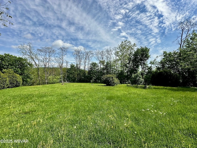117 Kendall Ave, Jersey Shore, PA 17740 - view of yard