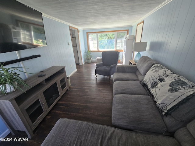117 Kendall Ave, Jersey Shore, PA 17740 - living room with wood finished floors, wooden walls, baseboards, and ornamental molding