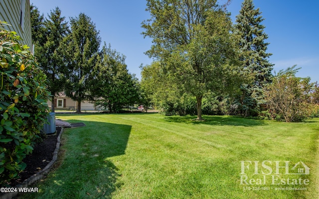 701 Bennett St, Montoursville, PA 17754 - photo 19
